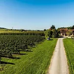 Nyaraló Chateau Lamouthe