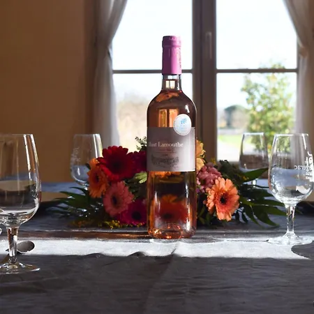 Chateau Lamouthe Prázdninový dům *