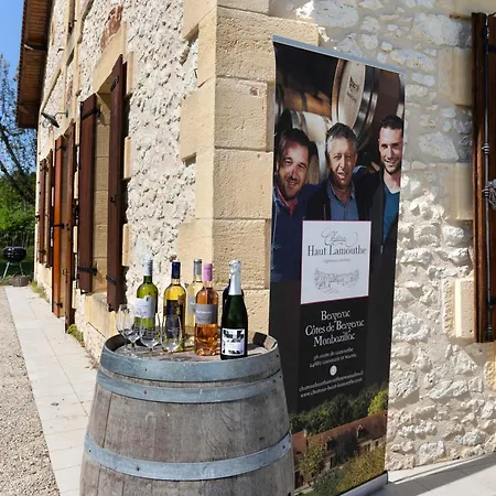 Chateau Lamouthe Feriehus *